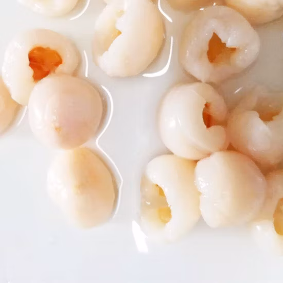 Nuovo zaino Garden Farmer Agricoltura agricola Raccolto manuale manuale Spruzzatore elettrico a batteria a zaino 2 in 1 (HT