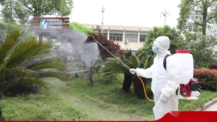 Spruzzatore a benzina a zaino con CE (TF