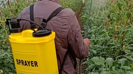 Disinfezione agrochimica Sterilizzazione Zaino agricolo Batteria da giardino per fattoria Zaino elettrico Spruzzatore manuale manuale (HT